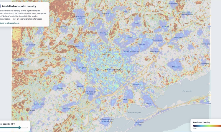 Dai satelliti ai tombini: come Earth Observation e AI aiutano i Comuni a combattere la zanzara tigre